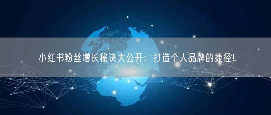 小红书粉丝增长秘诀大公开：打造个人品牌的捷径！