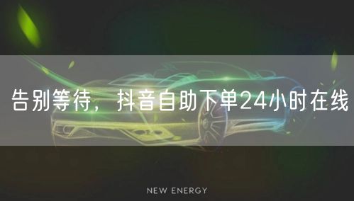告别等待，抖音自助下单24小时在线