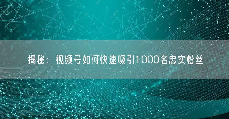 揭秘：视频号如何快速吸引1000名忠实粉丝