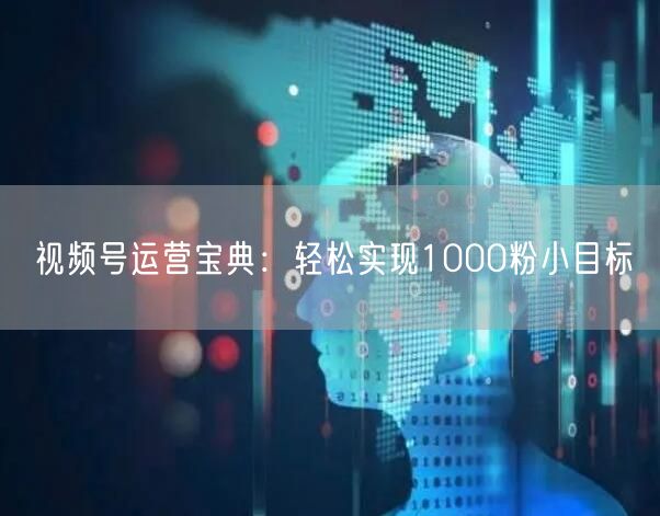 视频号运营宝典：轻松实现1000粉小目标