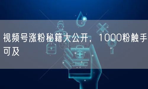 视频号涨粉秘籍大公开，1000粉触手可及