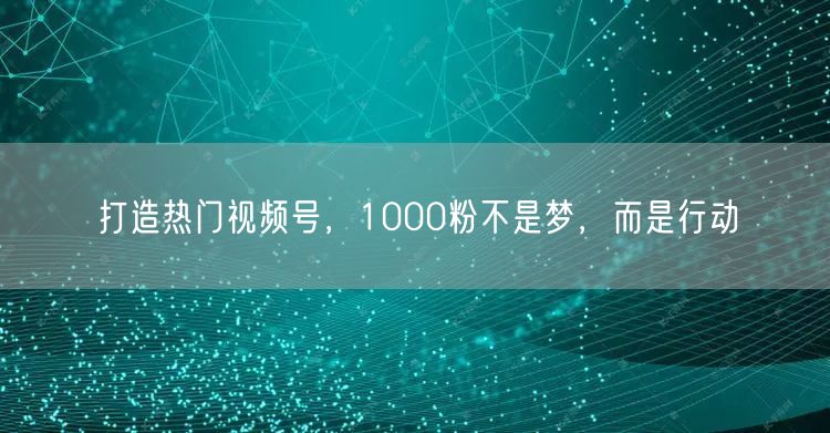 打造热门视频号，1000粉不是梦，而是行动