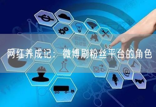 网红养成记：微博刷粉丝平台的角色