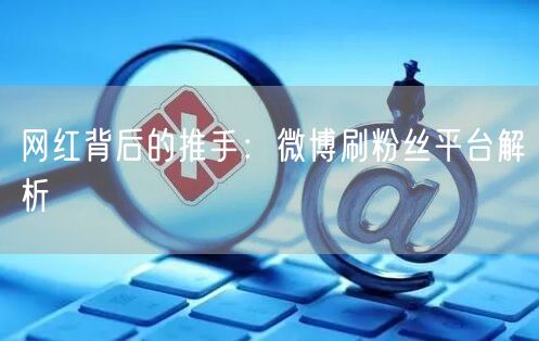 网红背后的推手：微博刷粉丝平台解析