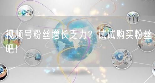 视频号粉丝增长乏力？试试购买粉丝吧！