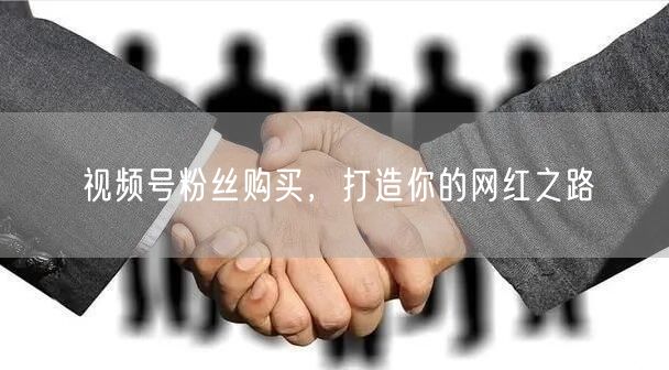 视频号粉丝购买，打造你的网红之路