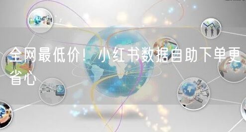 全网最低价！小红书数据自助下单更省心