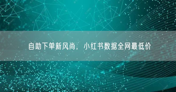 自助下单新风尚，小红书数据全网最低价