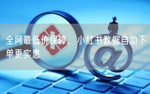 全网最低价保障，小红书数据自助下单更实惠