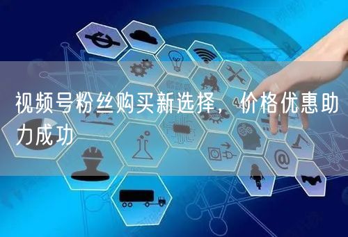 视频号粉丝购买新选择，价格优惠助力成功