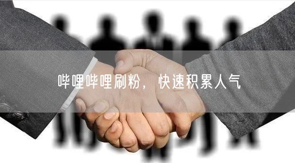 哔哩哔哩刷粉，快速积累人气