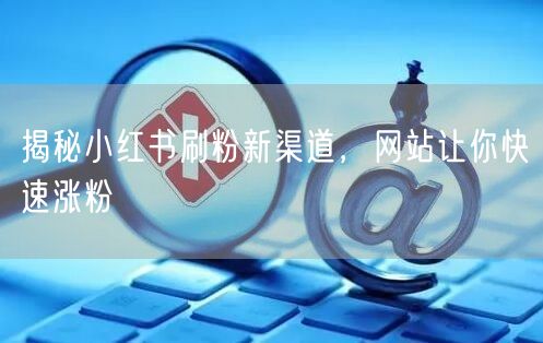 揭秘小红书刷粉新渠道，网站让你快速涨粉